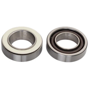 Campagnolo Hub Bearings