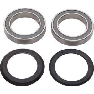 Power-Torque Bearings